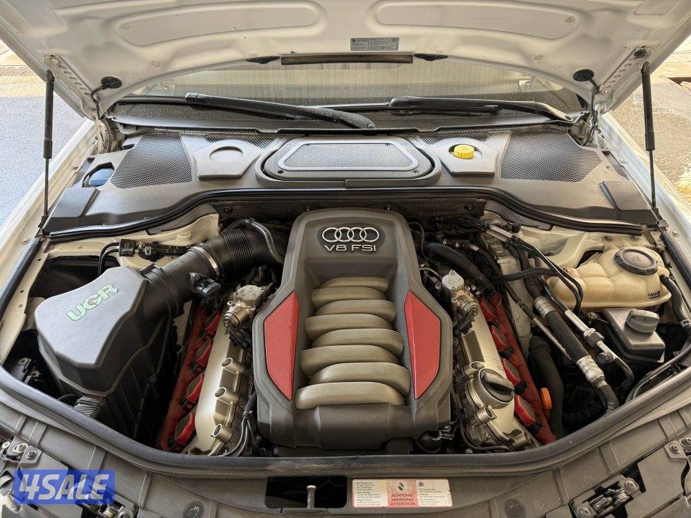 الشعب البحري10