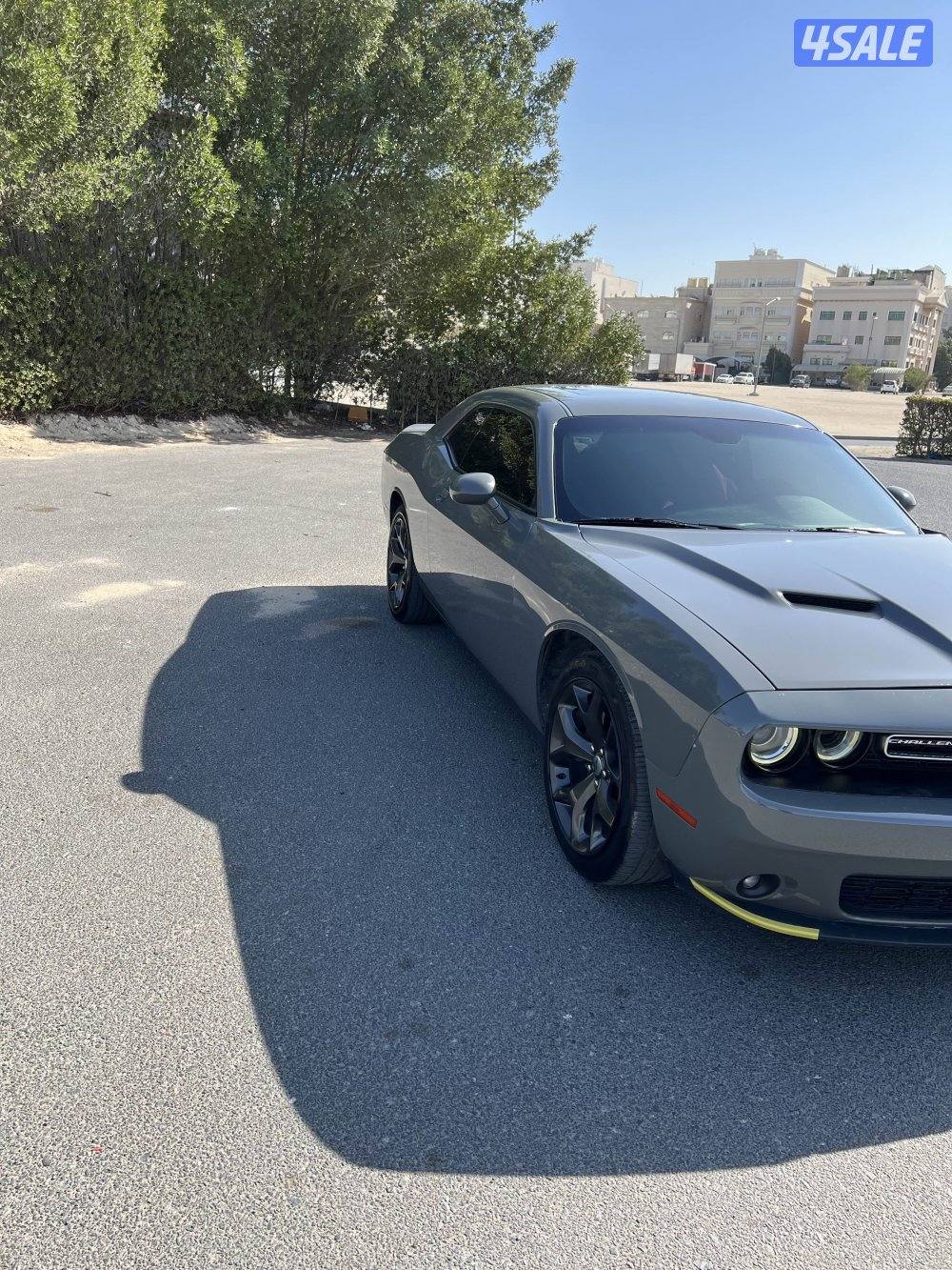 بيع دوج تشالنجر6