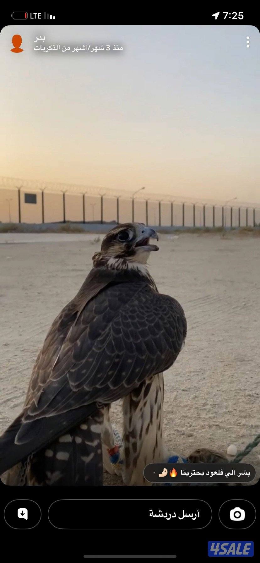 طير تبع جير مورينو 15 طول 15 الاربع عرض كنتي حمام ملواح فاضي طياره0