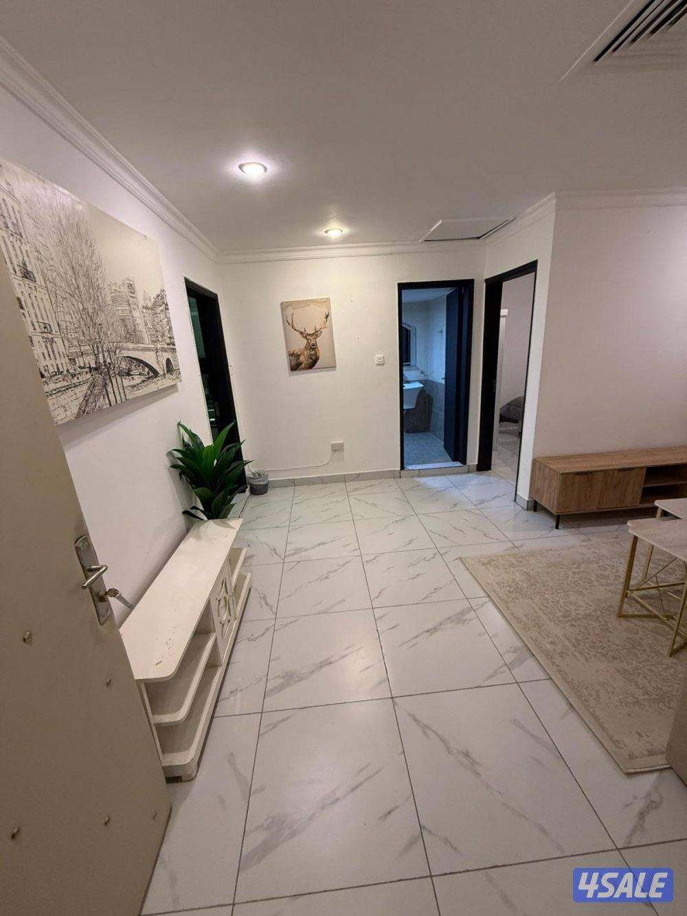 شقق للايجار خلو وفاضي غرفة وصالة ومطبخ وحمام تشطيب سوبر لوكس3