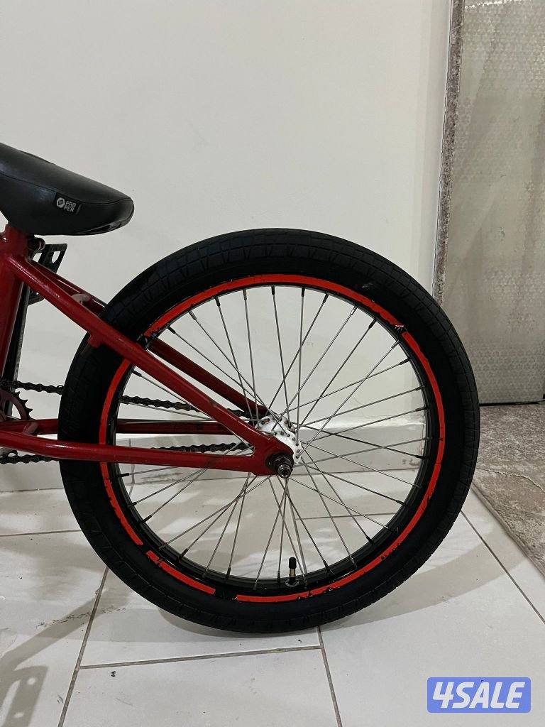 ستولن اصلي نادر هوب شادو6