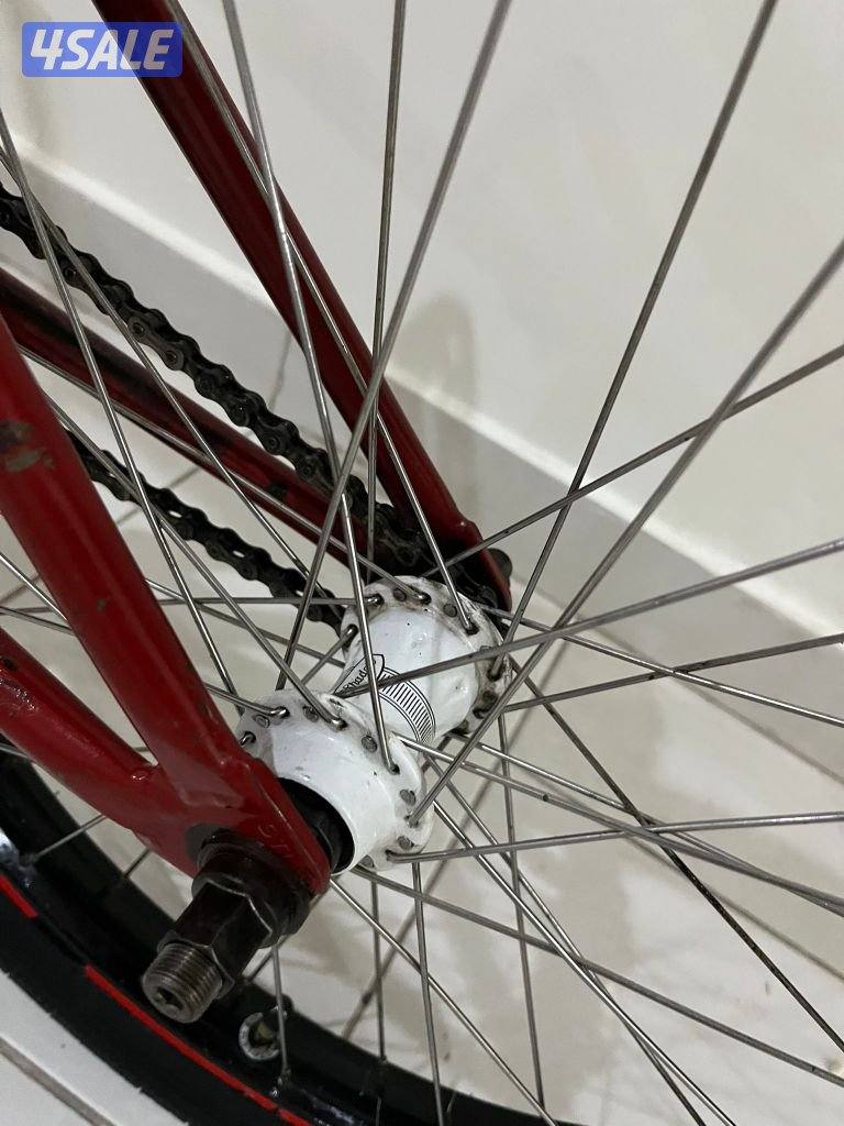 ستولن اصلي نادر هوب شادو7