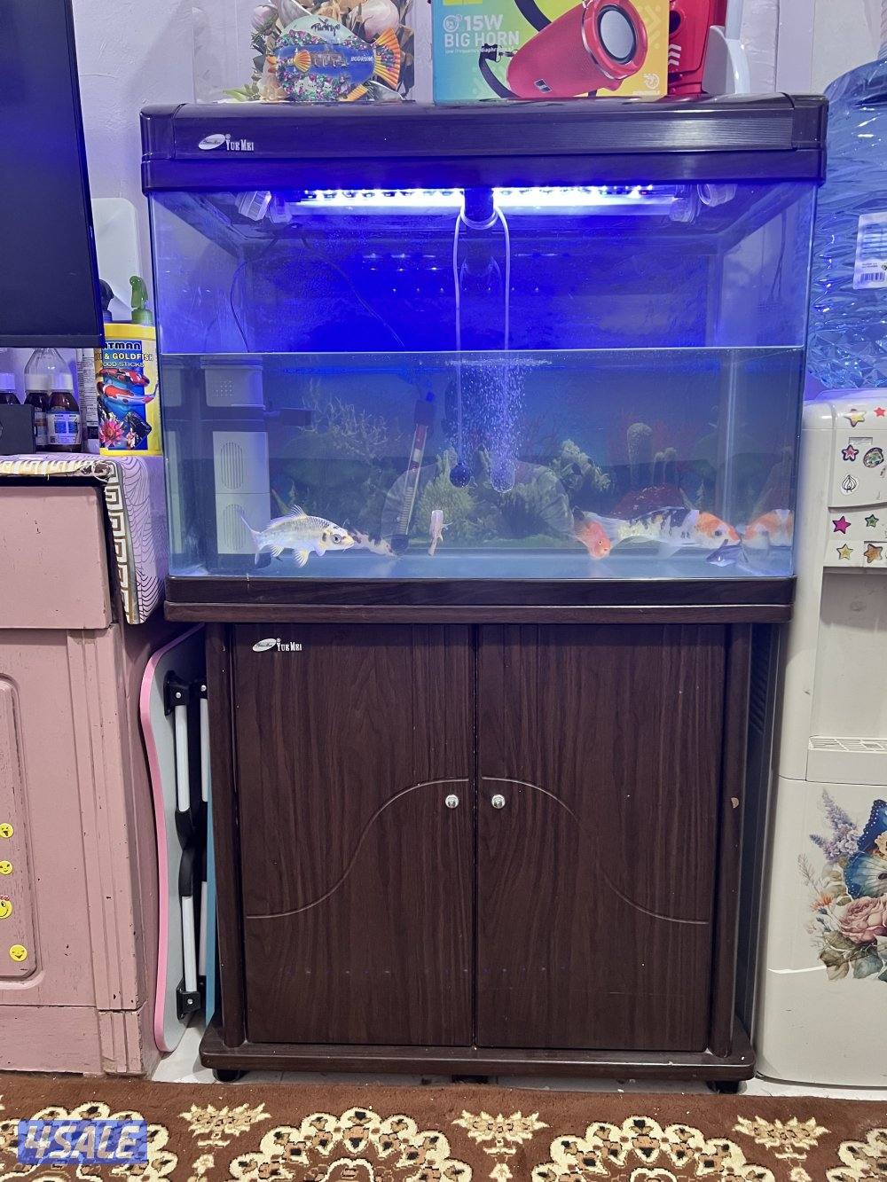 حوض سمك كامل مع السمك1