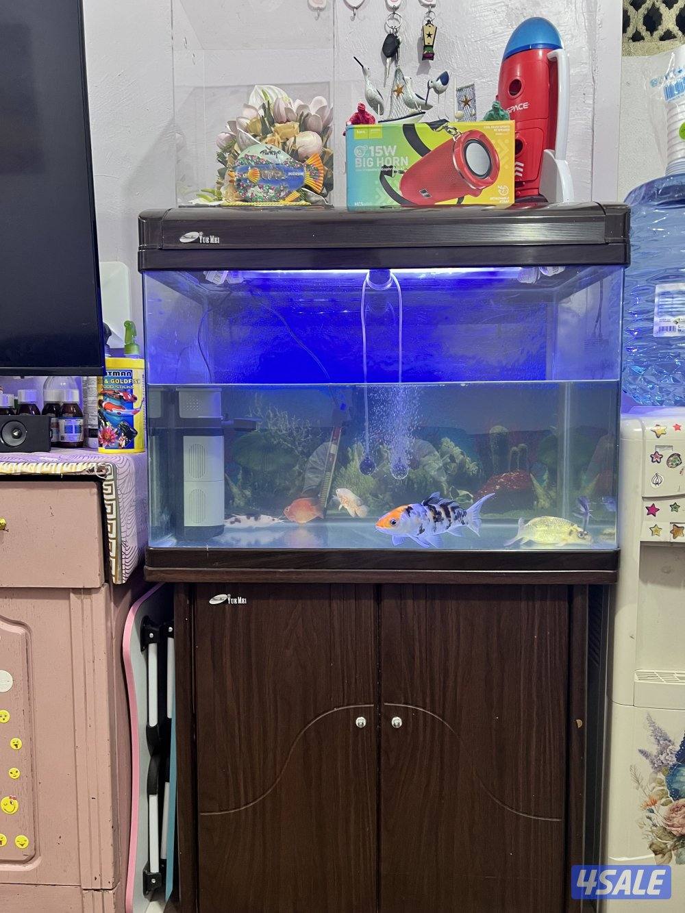 حوض سمك كامل مع السمك4