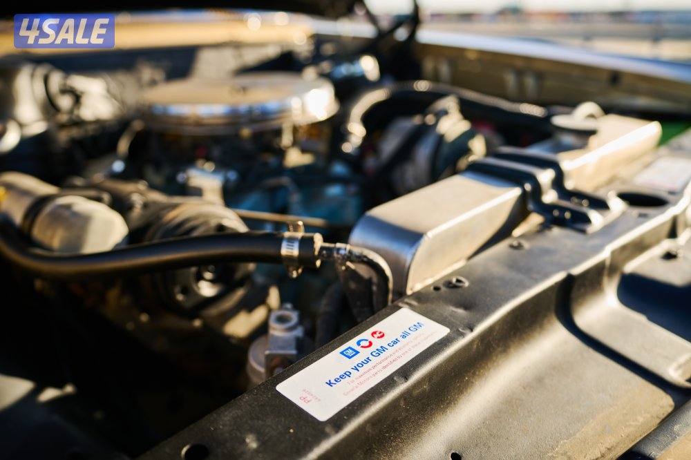 للبيع بونتياك GTO 19673