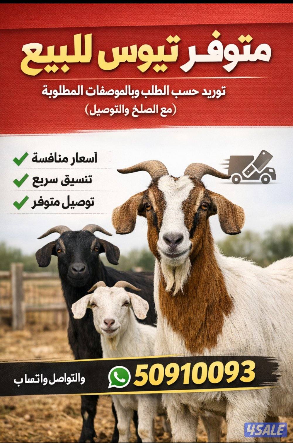 توفير تيوس0