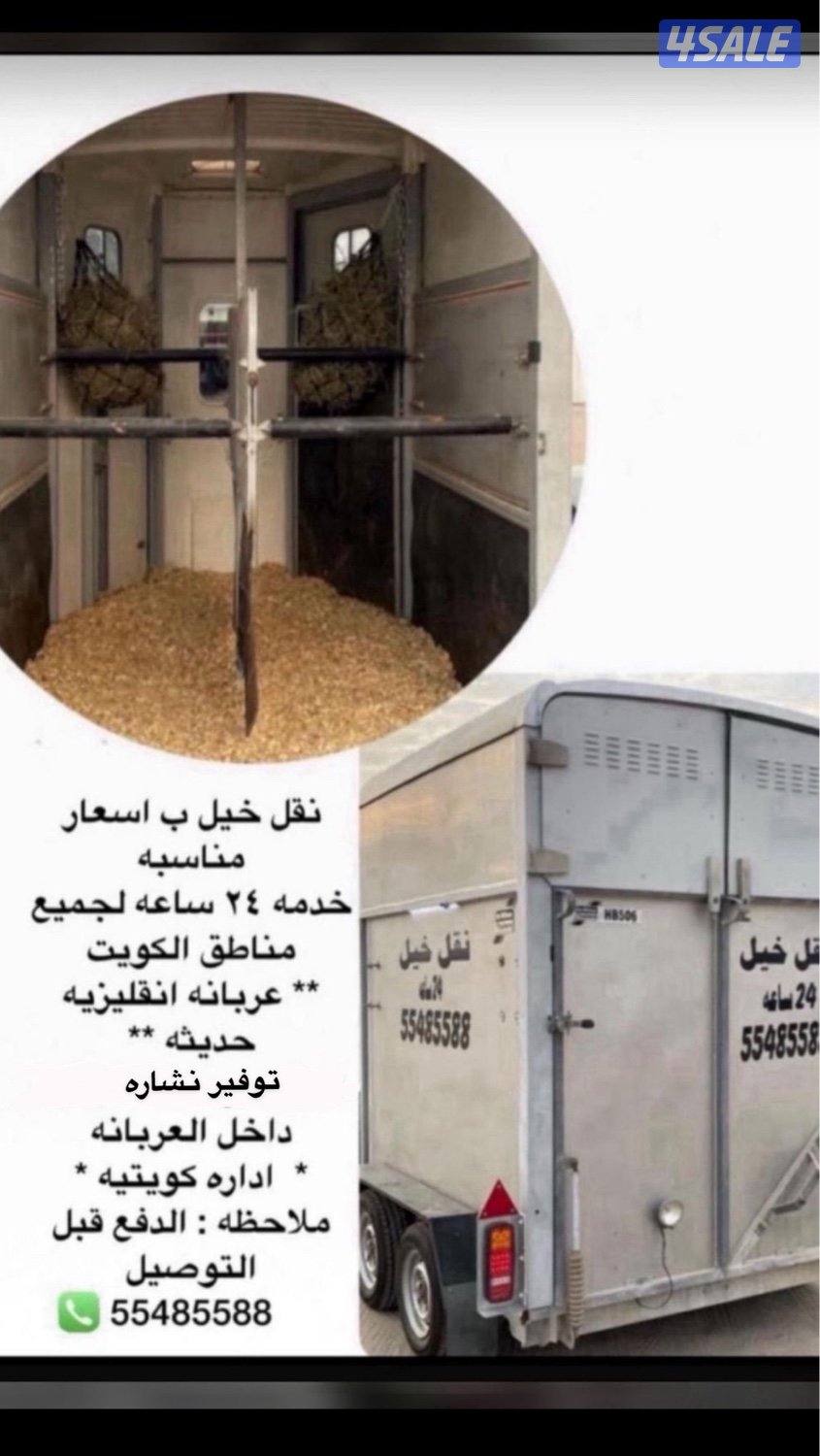 نقل خيل بأسعار مناسبه2