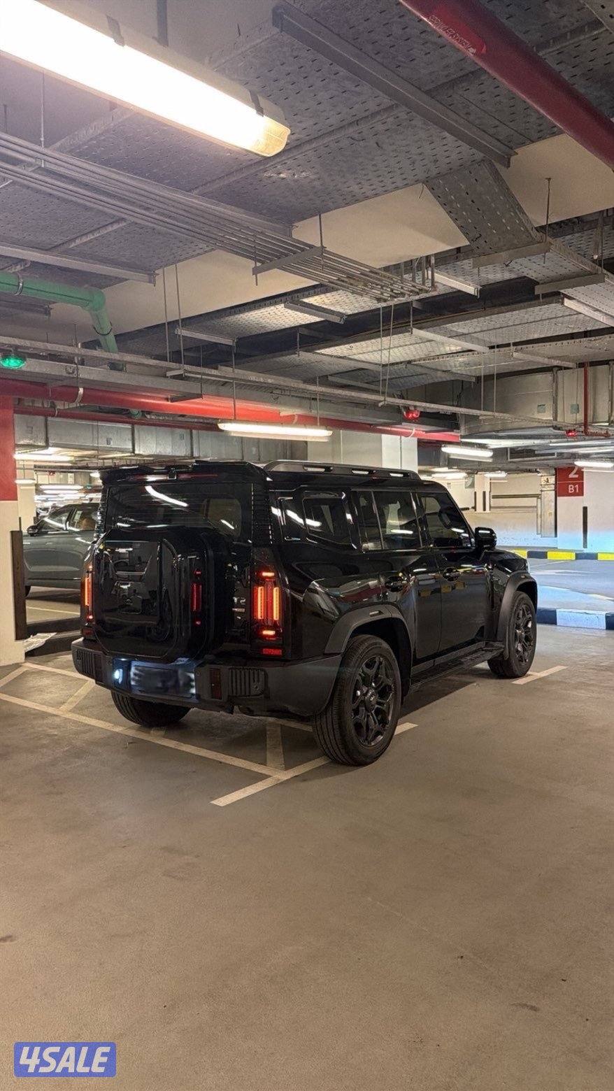 للببع حيتور20242