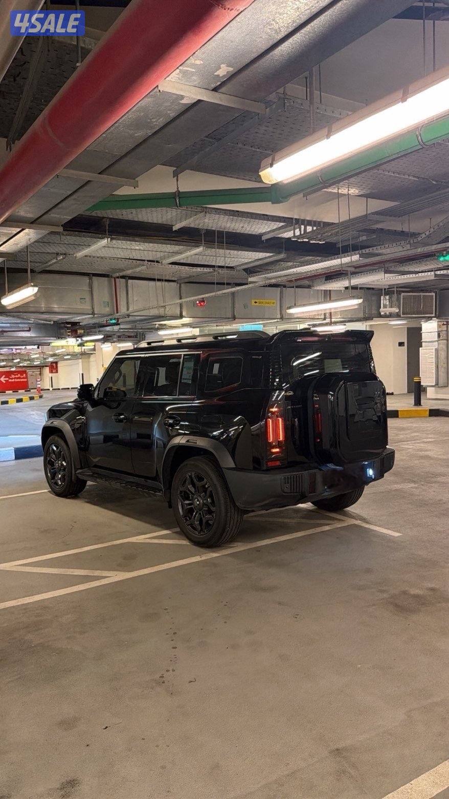 للببع حيتور20245