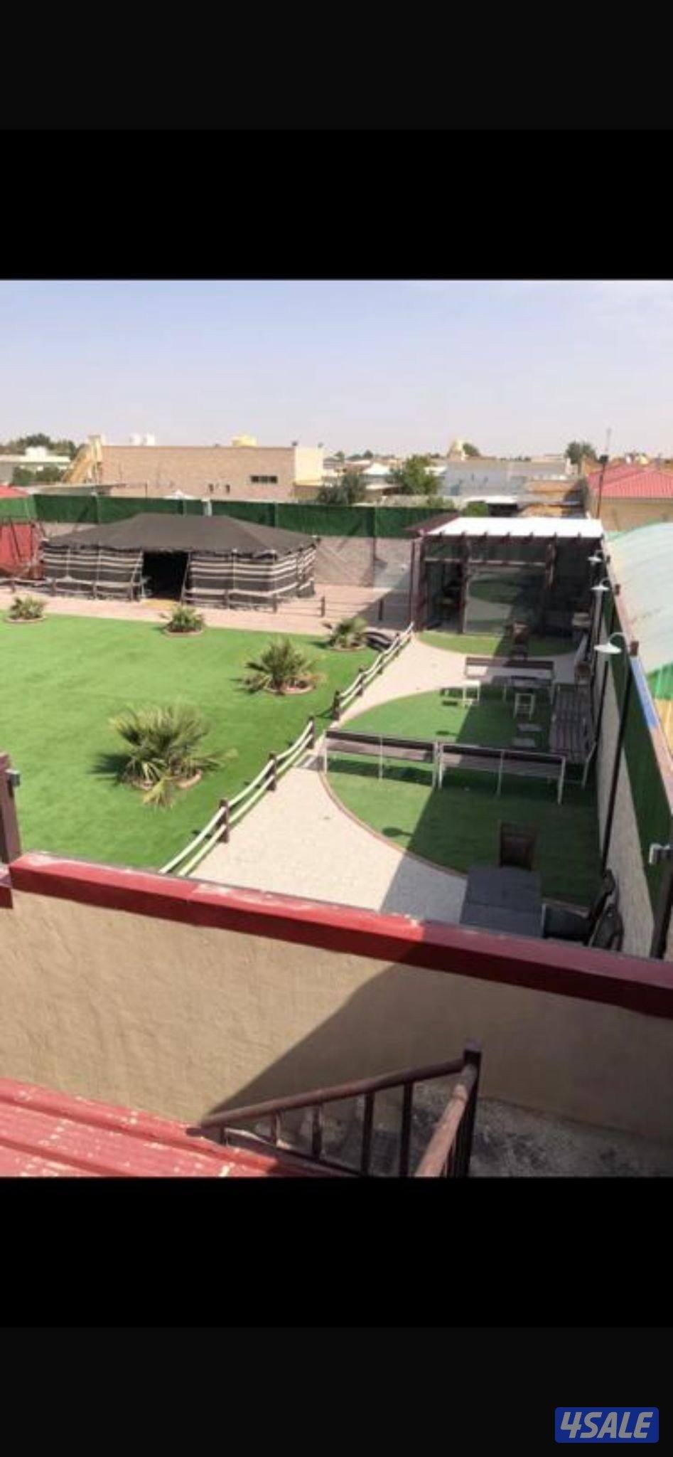 إستراحه بالهجن للعوائل - حمام سباحه للكبار والاطفال13