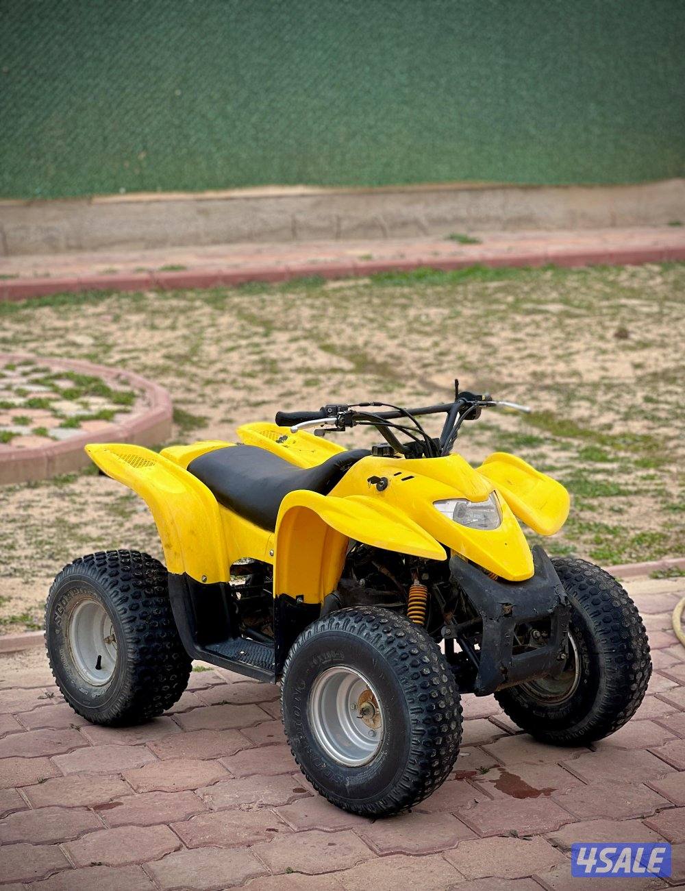 100CC Amiri Buggy0