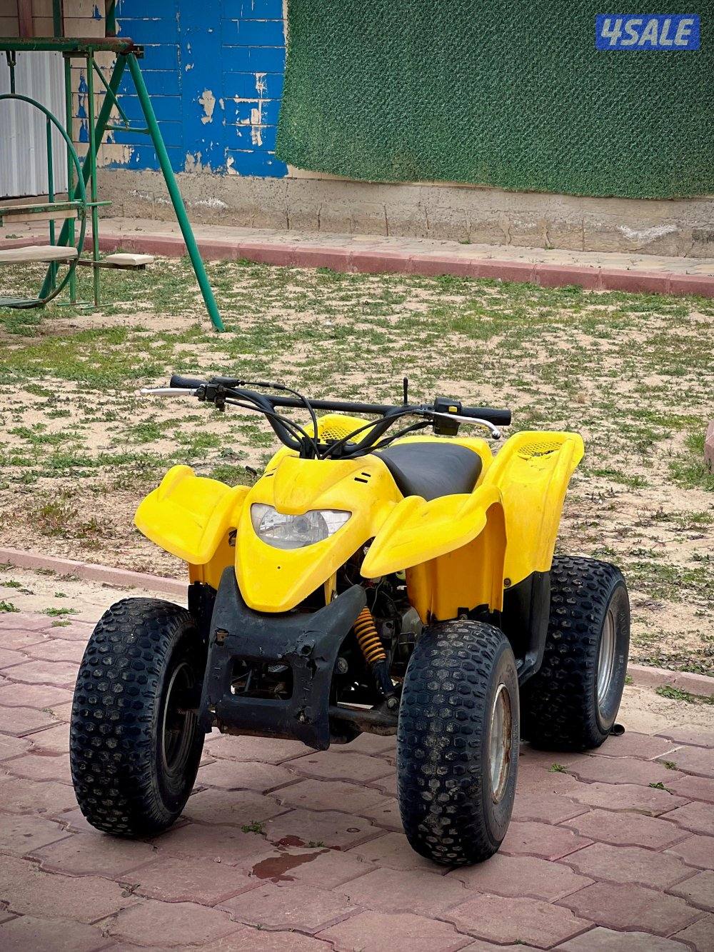 100CC Amiri Buggy1