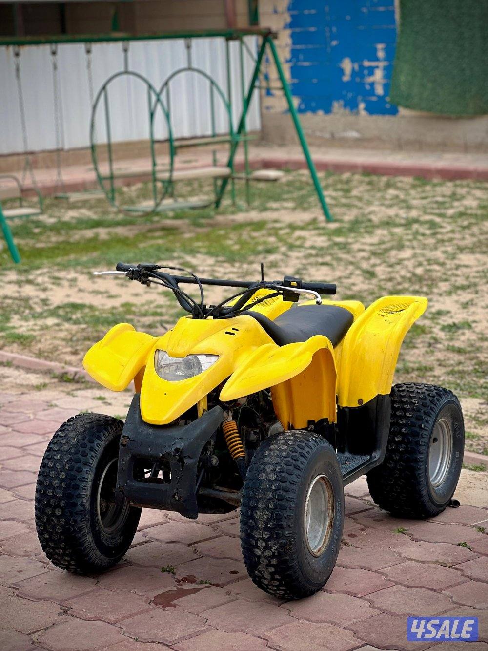 100CC Amiri Buggy3