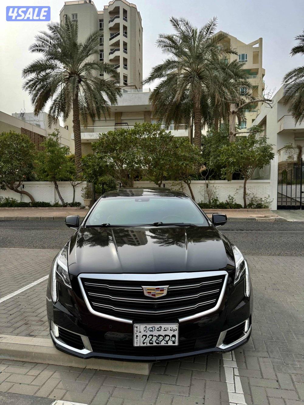 2019-XTS كاديلاك4
