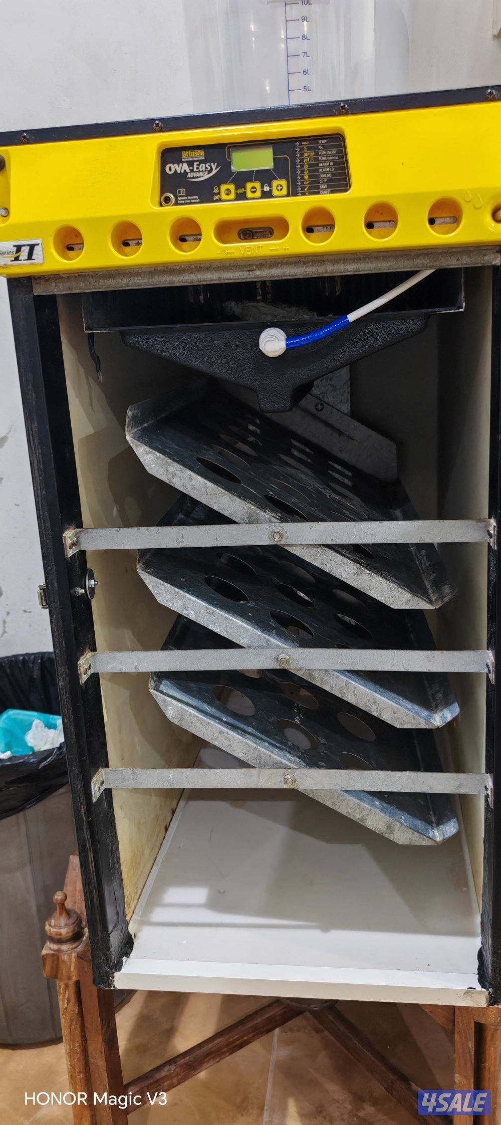 فقاسة نايف 380 بيضهة1