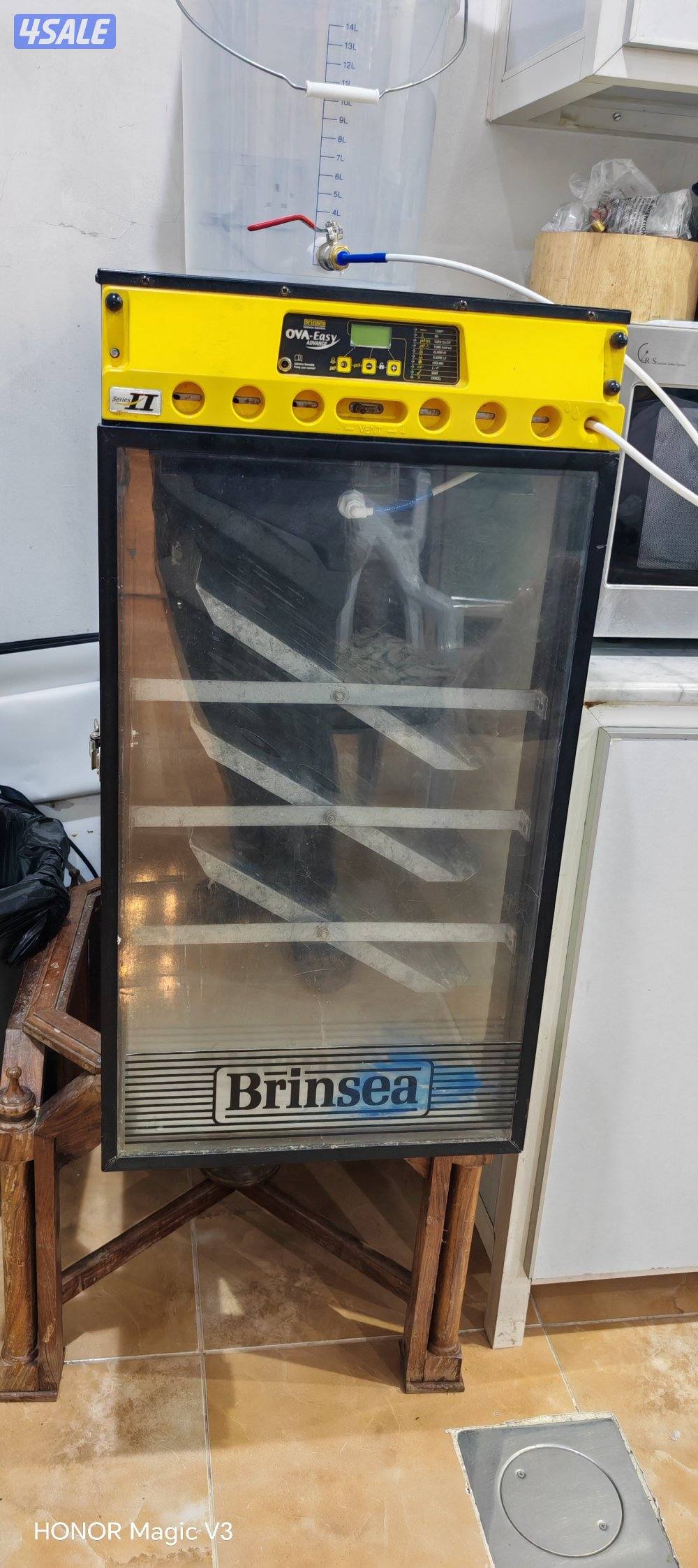 فقاسة نايف 380 بيضهة2