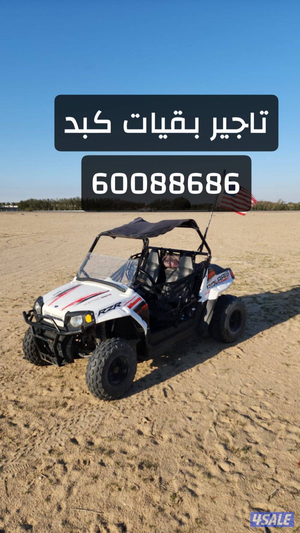 تاجير بقيات كبد1