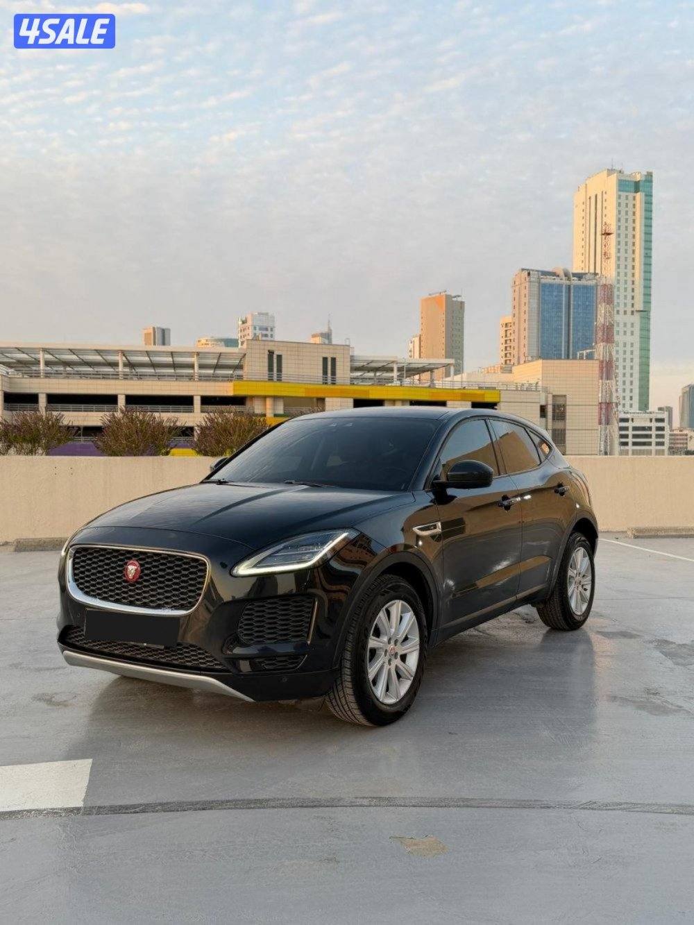 بحالة الوكالة6