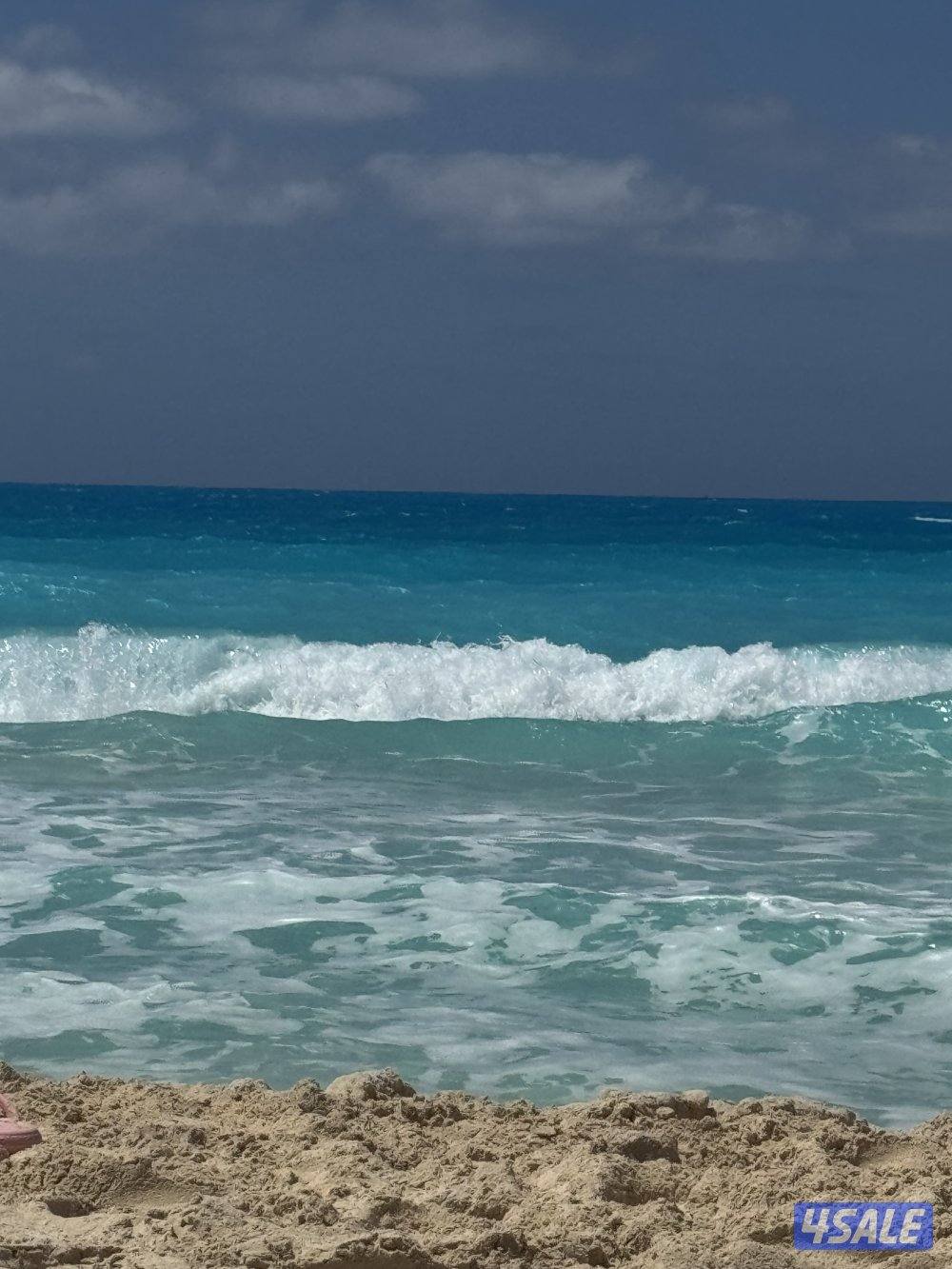 الرابيه قطه ١0