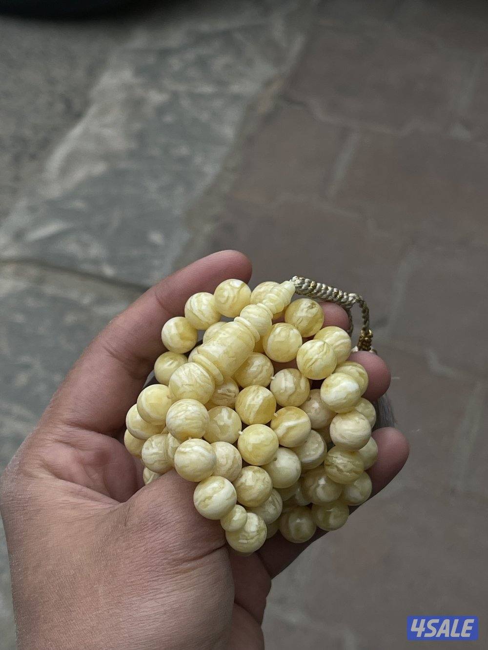 مشخط سيبيري1