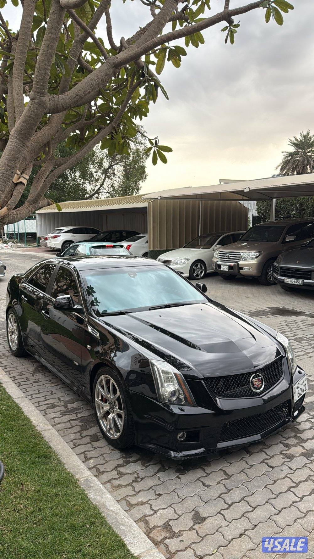CTS V 20091