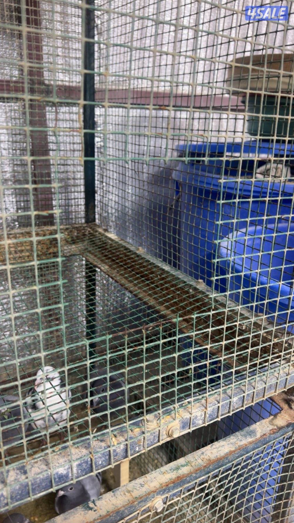 أقفاص لها حدايد سحب للتنضيف الطول ٢ متر العرض ١ متر3