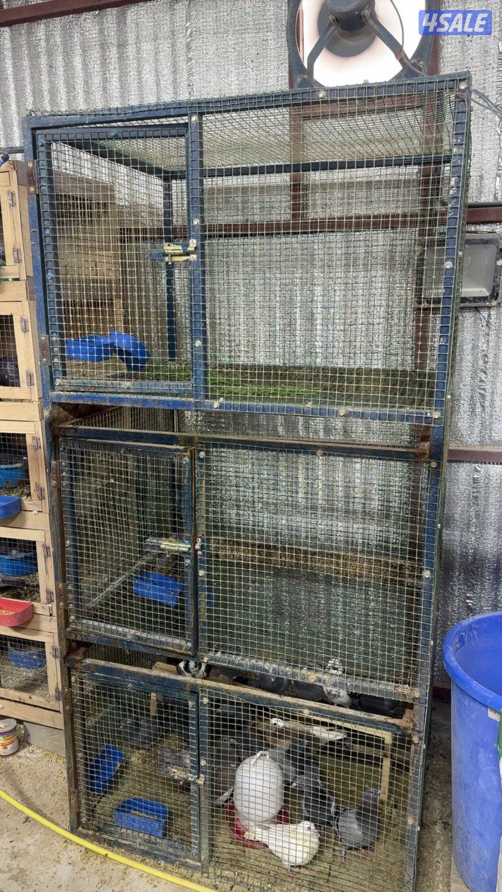 أقفاص لها حدايد سحب للتنضيف الطول ٢ متر العرض ١ متر4