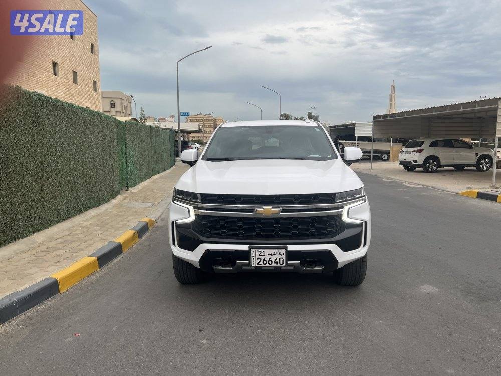 صبغ الوكالة1