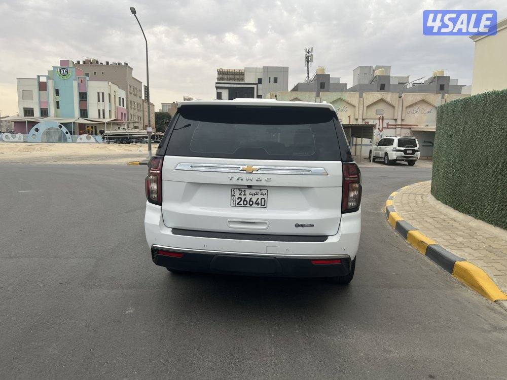 صبغ الوكالة3