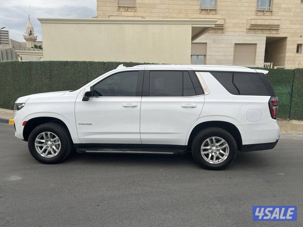 صبغ الوكالة4