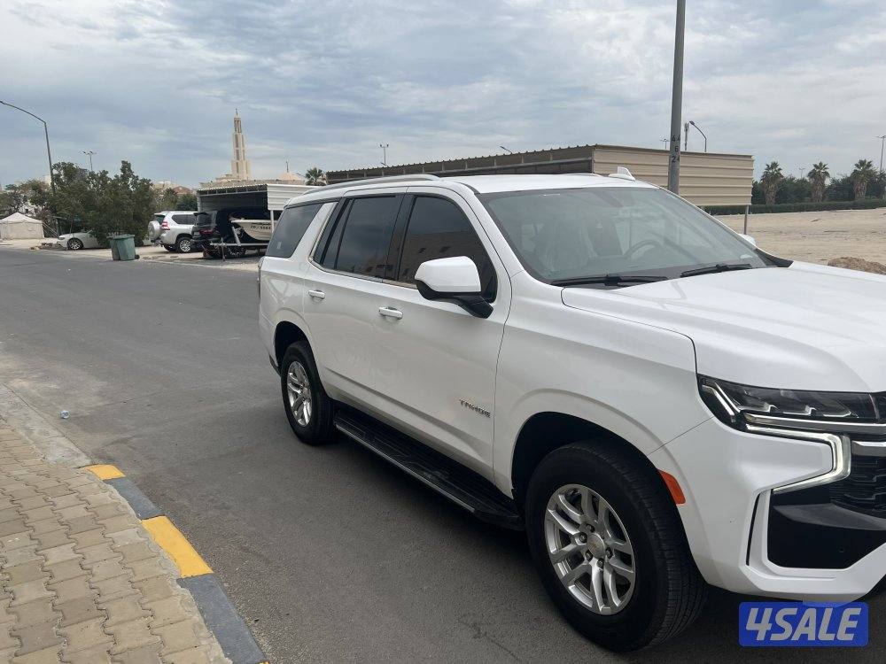 صبغ الوكالة5