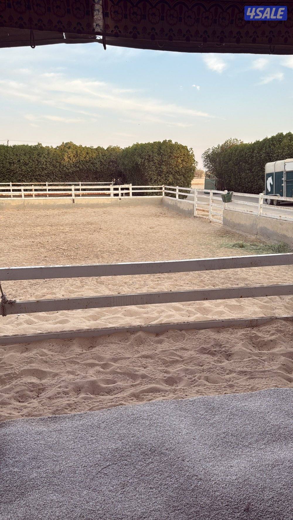 مربط لأيواء والعنايه الخيل0