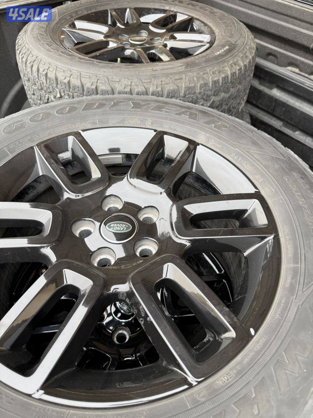 رنقات ديفندر0