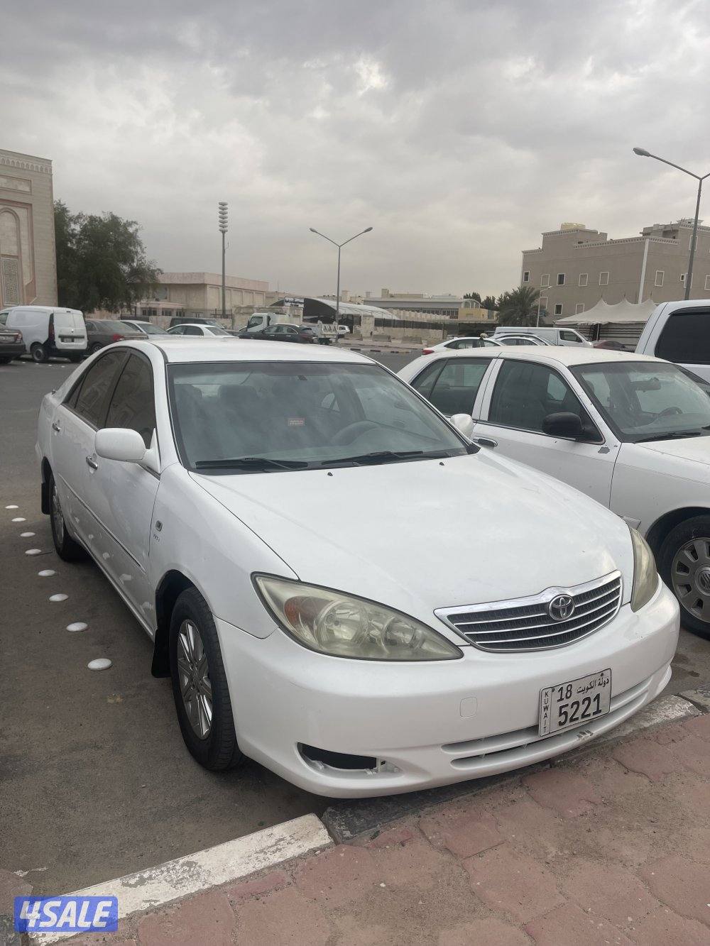 صبغ وكاله مالك اول0