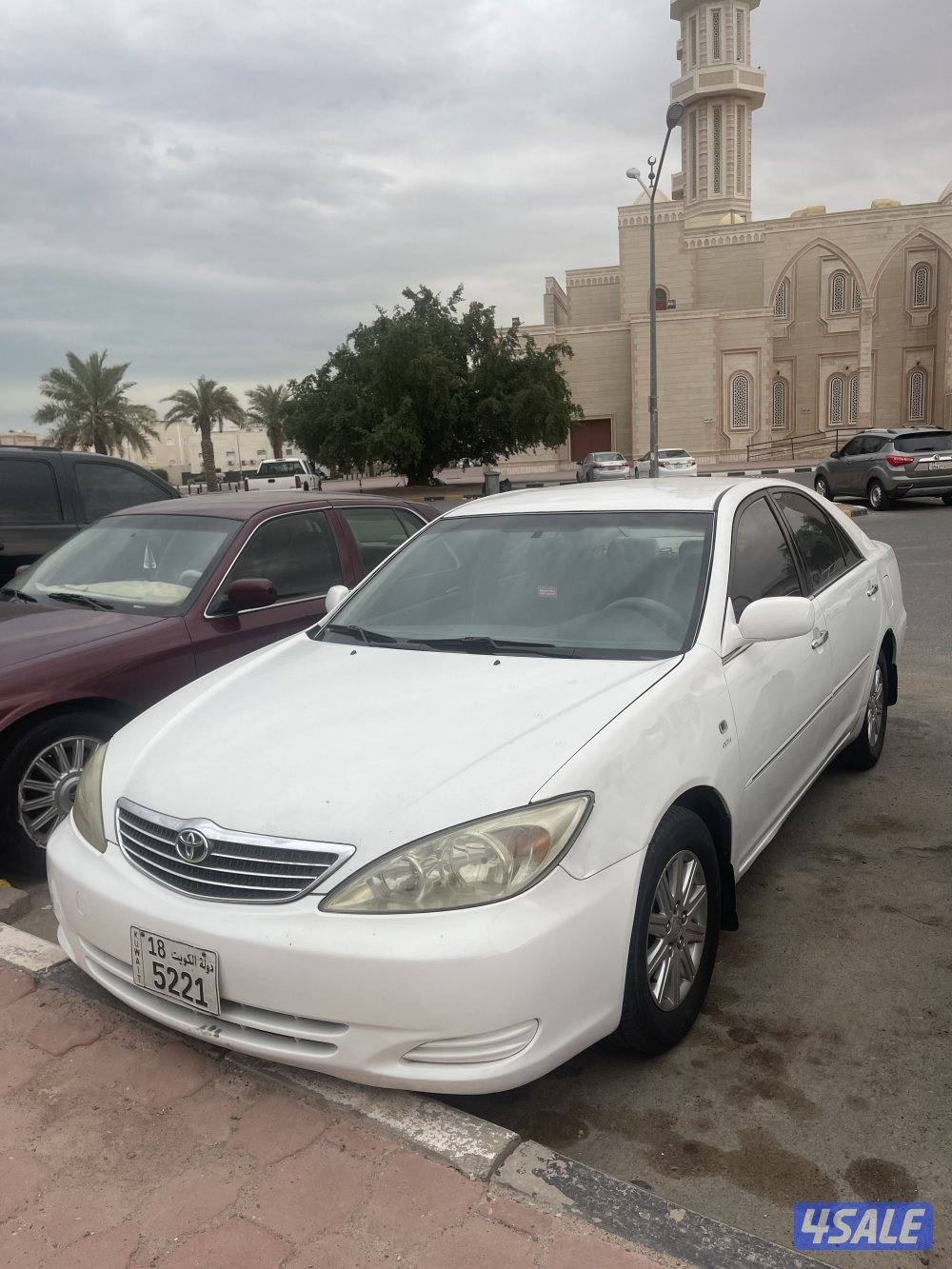 صبغ وكاله مالك اول1