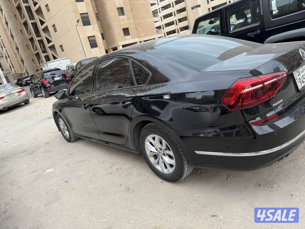 باسات صبغ وكاله2