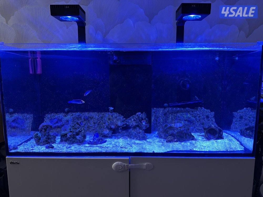 حوض بحري ماركة RED Sea0