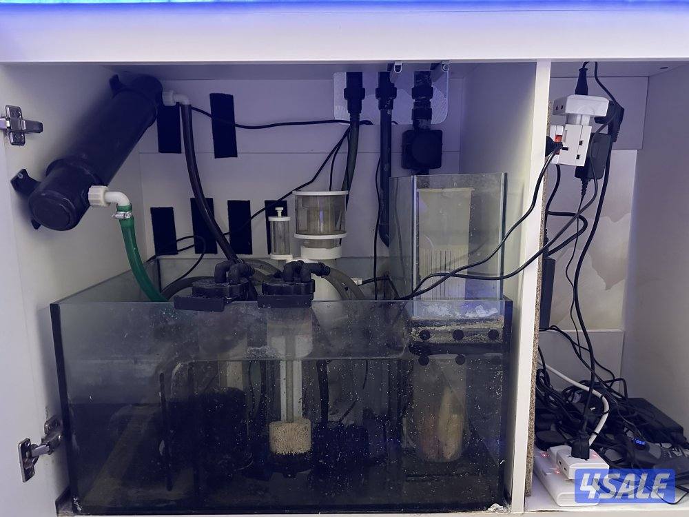 حوض بحري ماركة RED Sea1