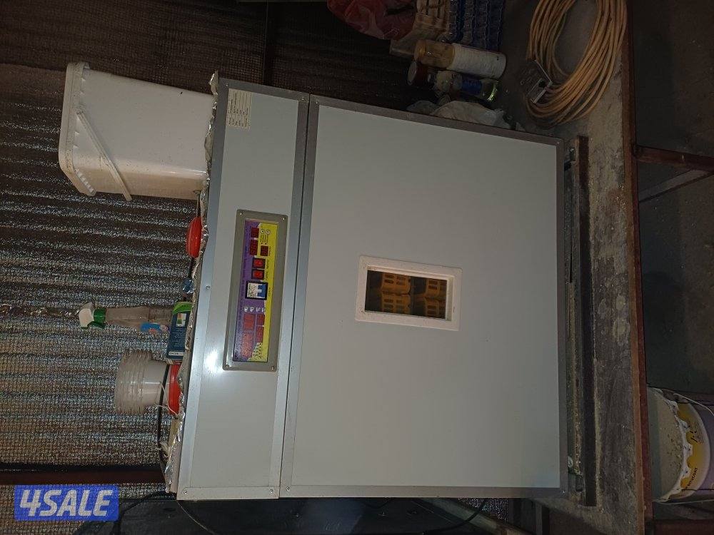 للبيع فقاسة نوع صيني وصيصان1