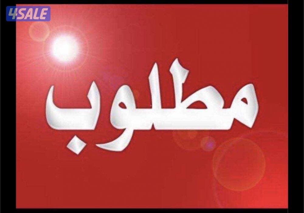 مطلوب ايفون 161