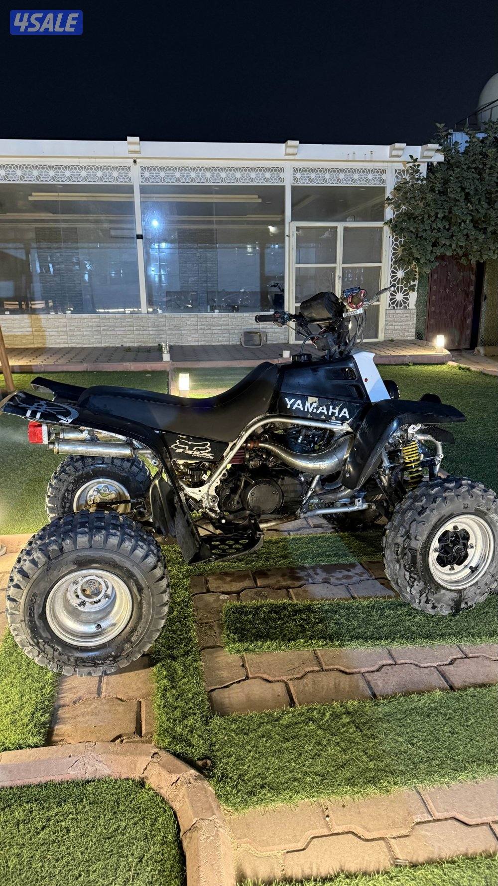 بانشي مديل 20061