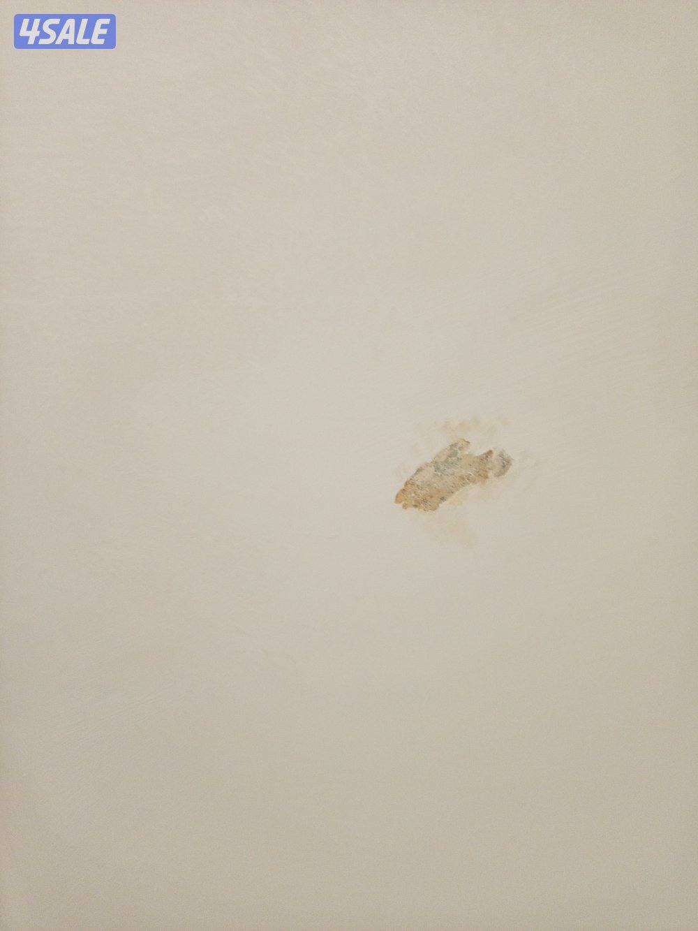 ########اأصباغ #صباغ#أصباغ#أصباغ#أصباغ#اصباغ#الصباغ#صباغ#الصباغ#أصباغ#2