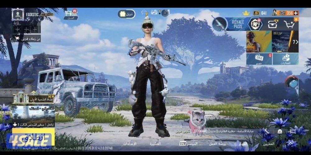 حسابات ببجي باسعار رمزيه5