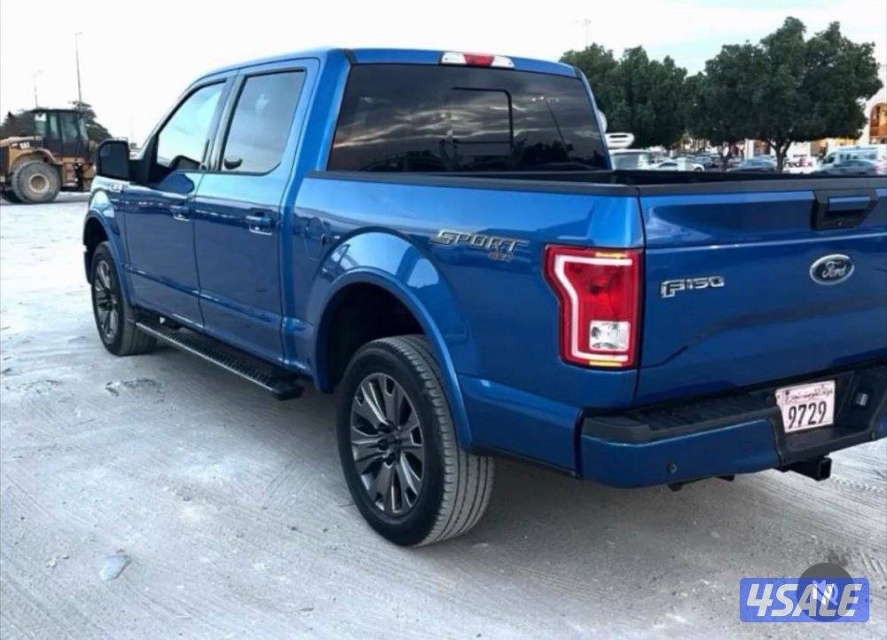 للبيع وانيت F150 شرط الفحص6