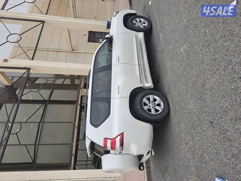 الظهر / الأحمدي4