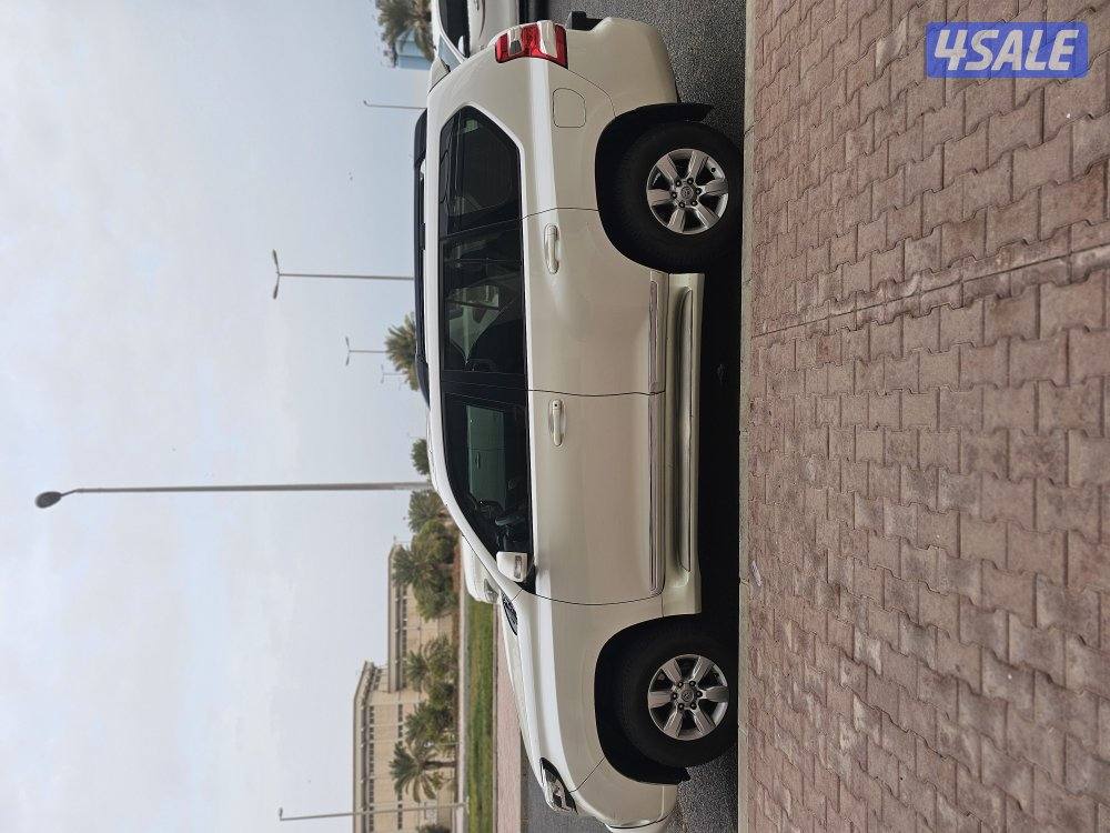 الظهر / الأحمدي6