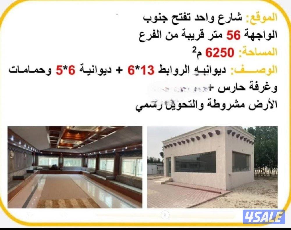 للبيع مزرعه مساحة 6250م0