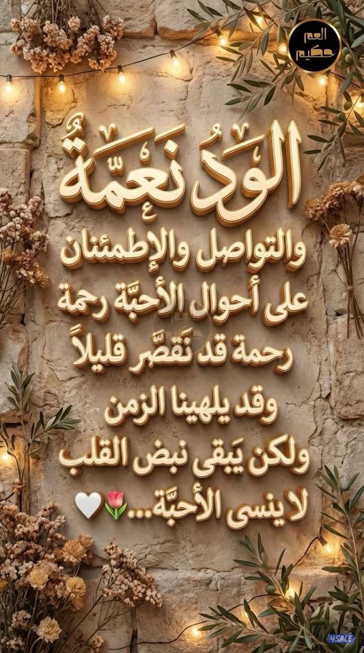 بوحليفة الجديدة قسيمة زاوية جديدة0