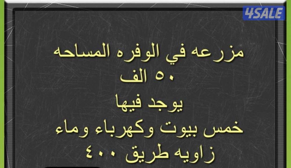 ‏مزرعة في الوفره مساحة 50,000الف طريق 4000