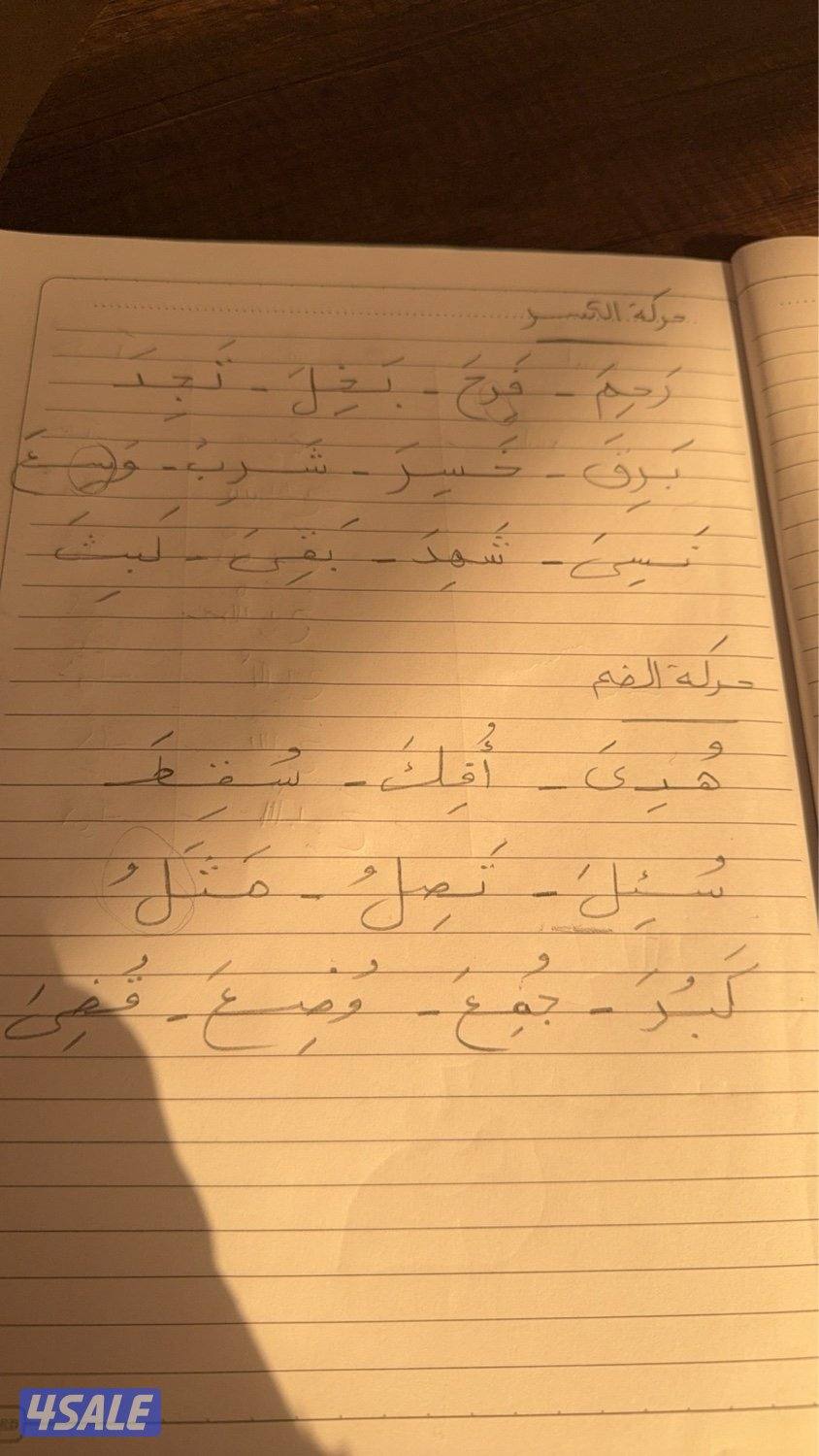 المنطقه العاشره0